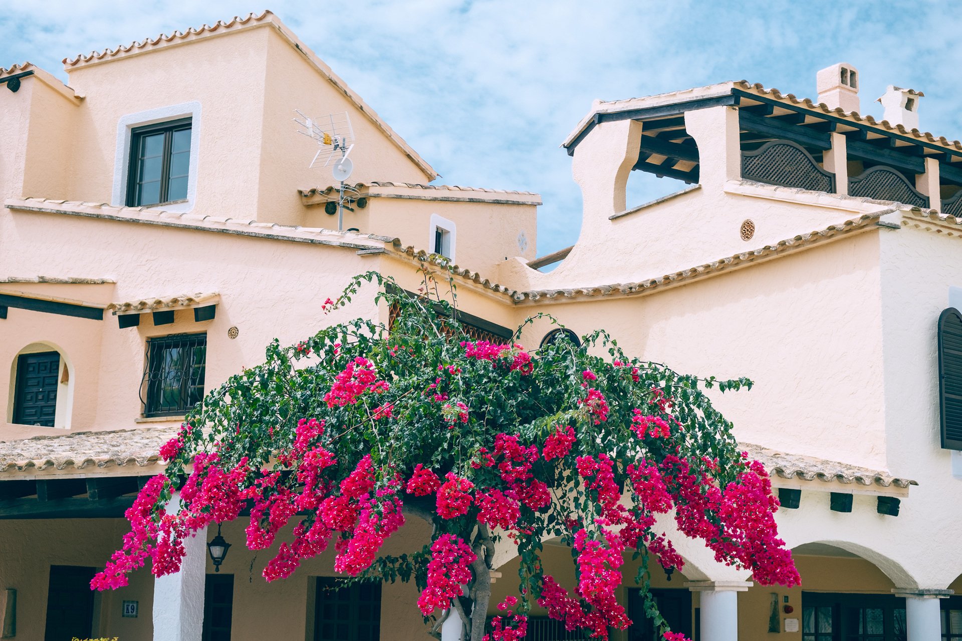 Edificio de paredes claras con tejados de teja, arcos, terraza cubierta y una planta con abundantes flores fucsias en primer plano.